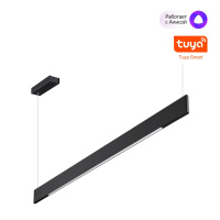 Светильник Подвесной Диммир. Со Сменой Цв. Температуры (управл. - Пульт Ду Или Прилож. Smart Life) Iter Ledo, 2xled, Черный (Novotech, 359546)